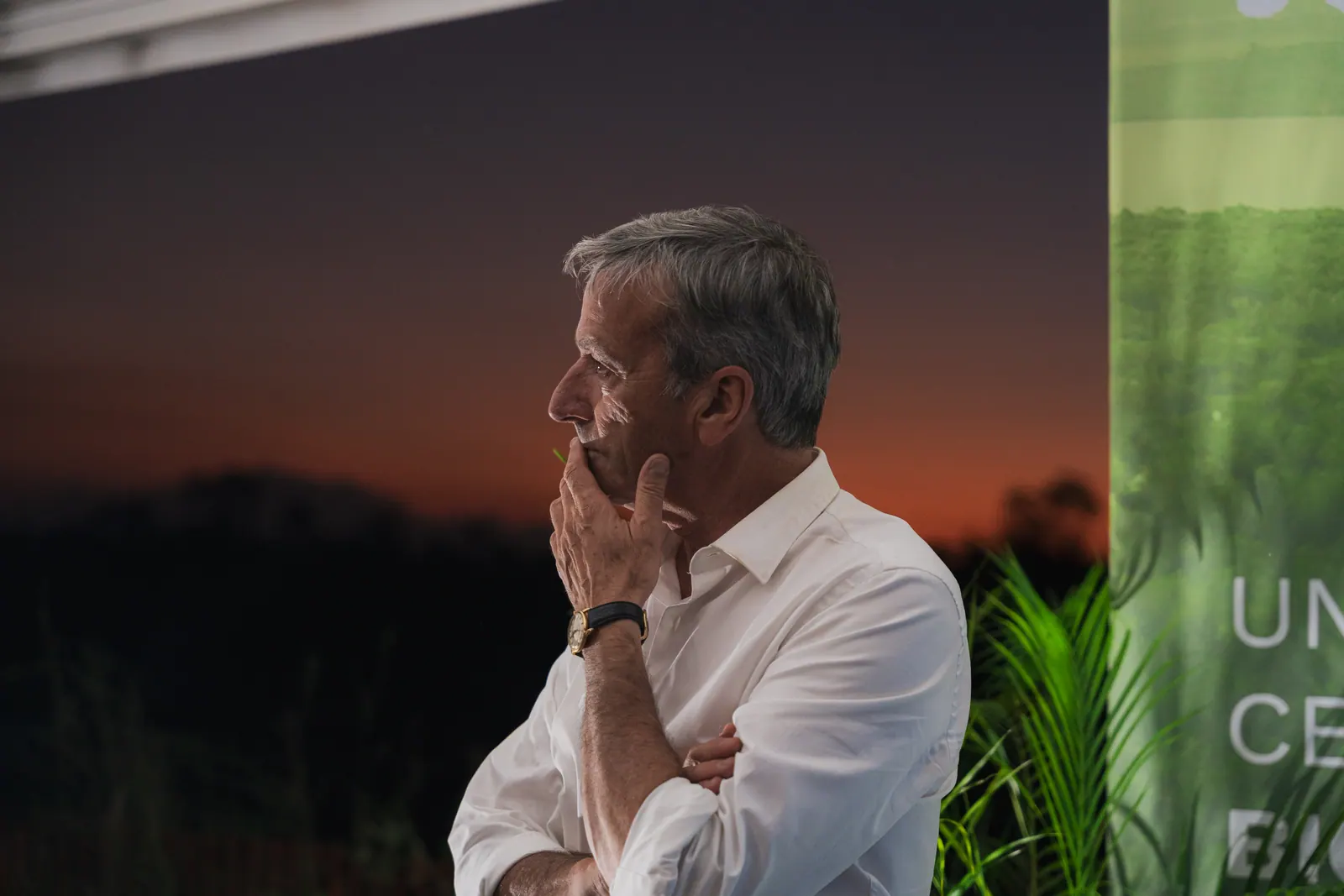Vue aérienne du site